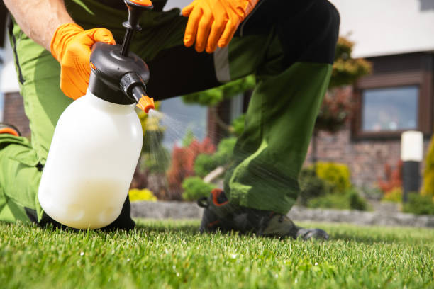 Best Ant Control Services  in USA